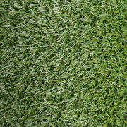 Искусственная трава ORTODEX коллекция Erba green
